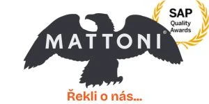 MATTONI 1873