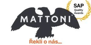 MATTONI 1873